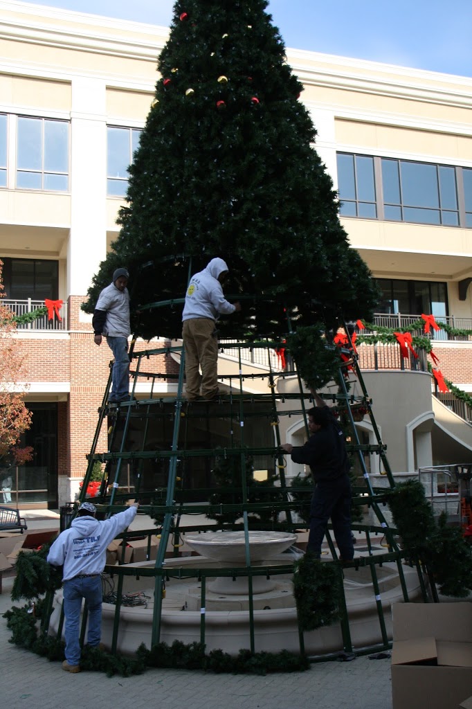 awesome picture of christmas tree cherry hill nj awesome picture of christmas tree cherry hill nj