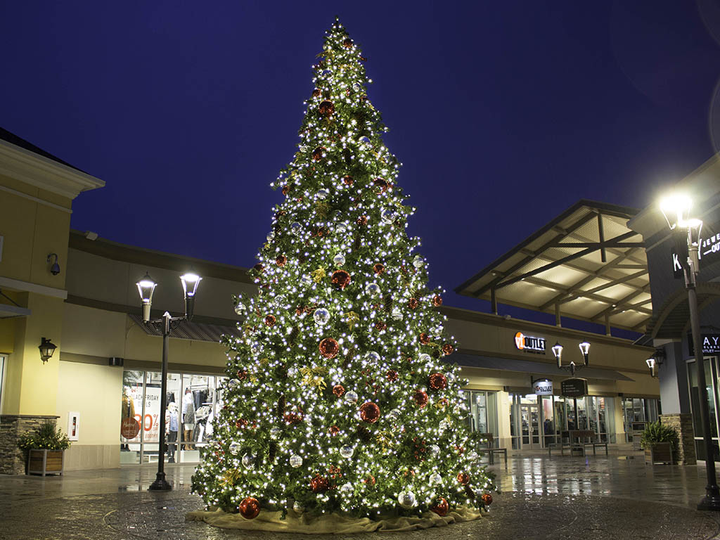 100 hanover christmas trees and that by christmas 100 hanover christmas trees and that by christmas